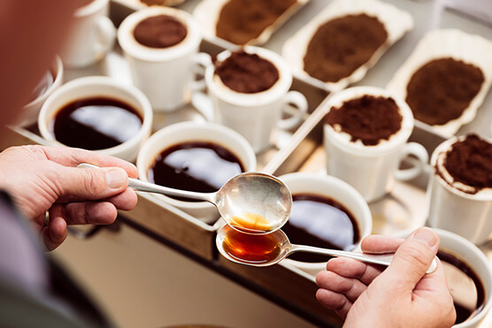 tea testing pontefract photo