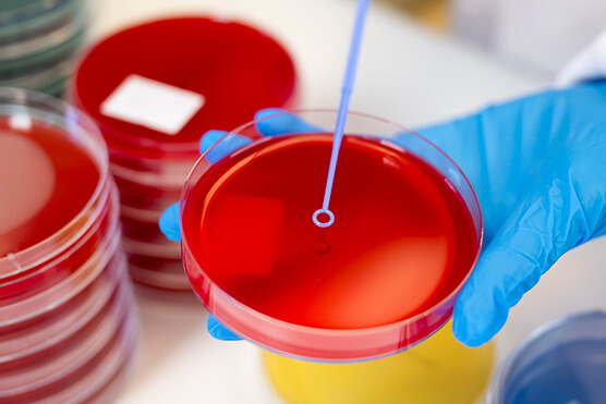 Royal College of Pathologists